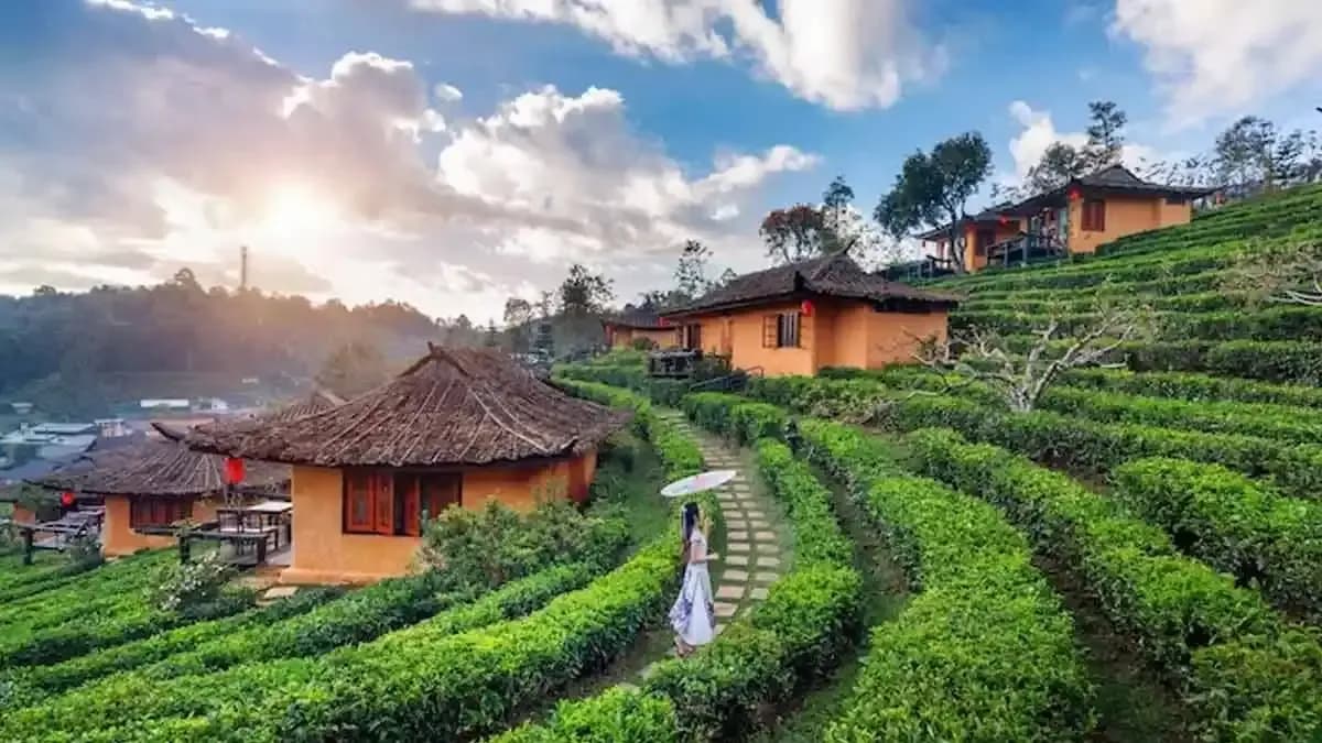 Nagaland image Nagaland image